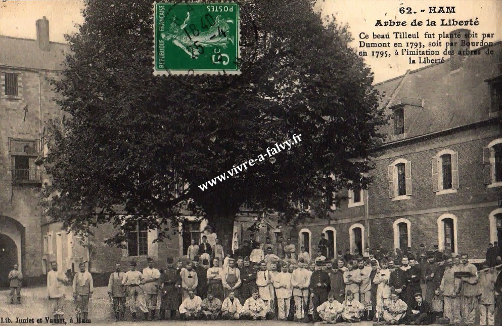 1 ham arbre de la liberte