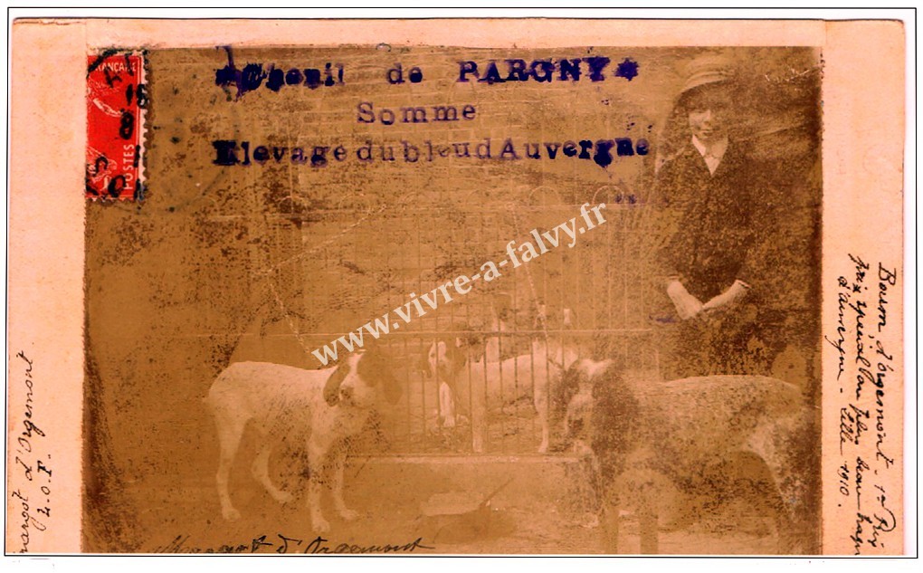 1 pargny chenil elevage de bleu d auvergne