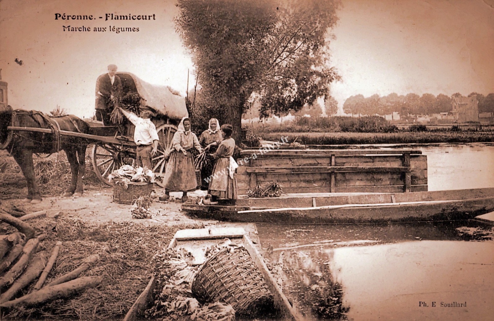 1 peronne flamicourt marche aux legumes 1