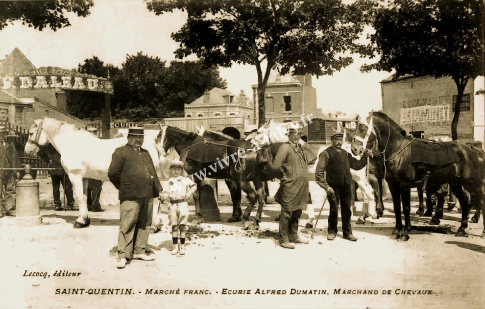 2 saint quentin marche franc ecurie alfred dumatin marchand de chevau