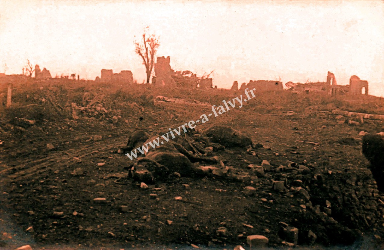 3 lihons cadavres de chevaux maisons en ruine apres bombardement