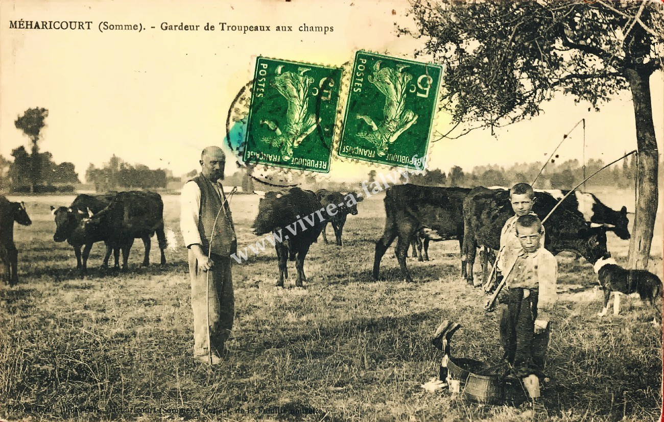3 meharicourt gardeur de troupeaux aux champs