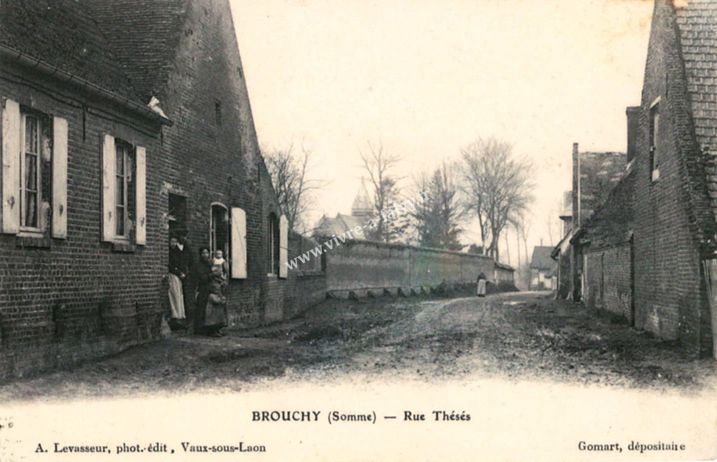 Brouchy rue theses