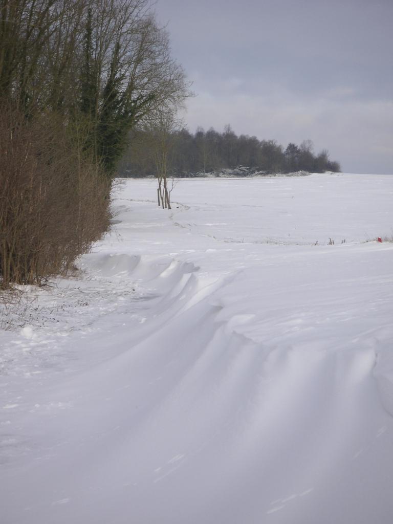 La longue Haie