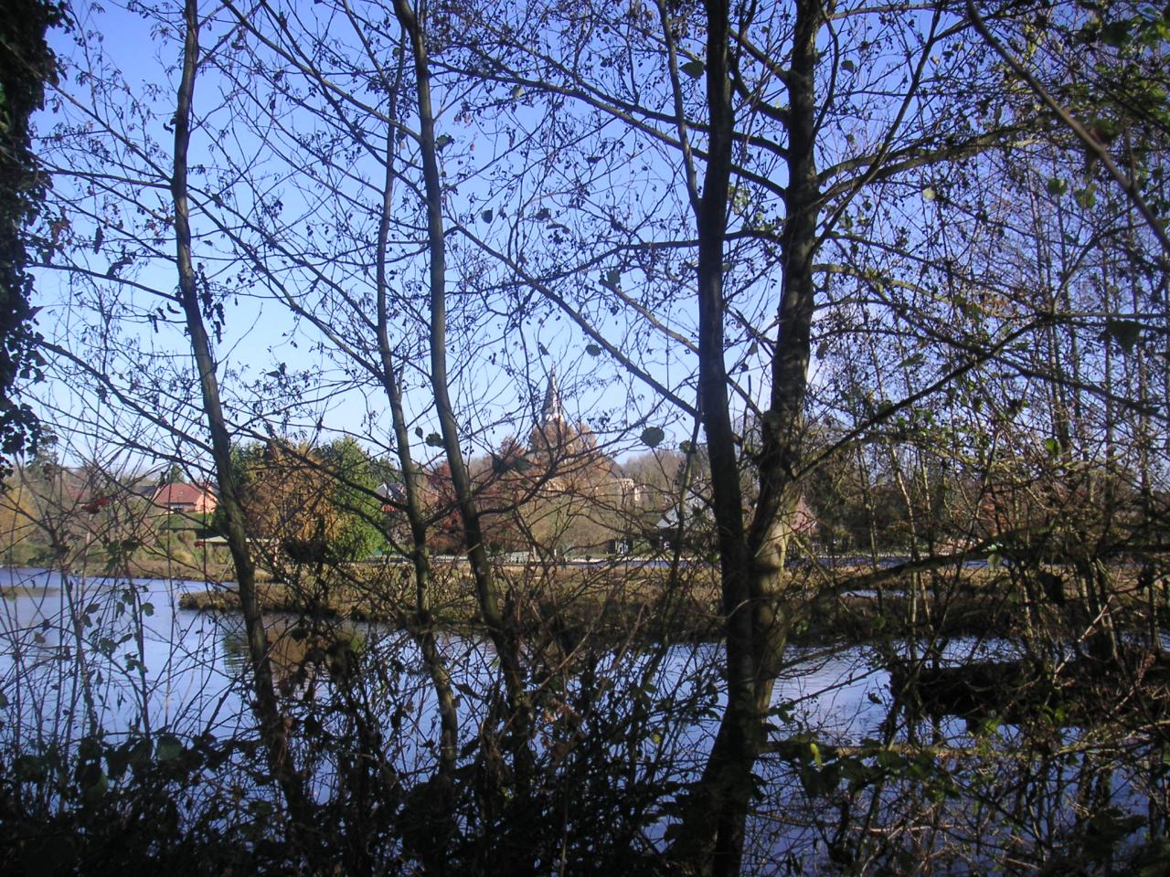 Sainte Benoîte à travers les branches d'arbres