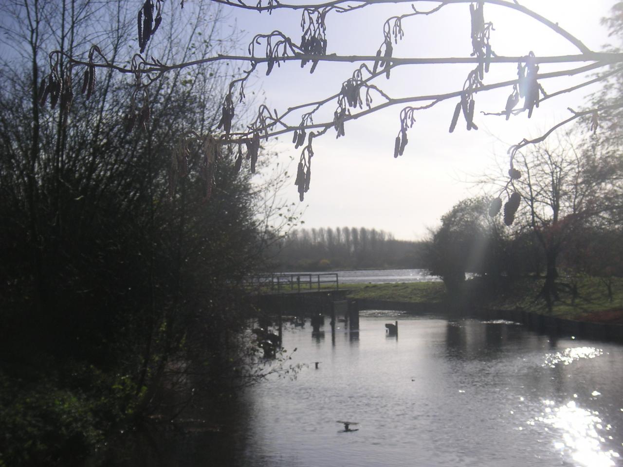 Petit cours d'eau qui longe la Somme