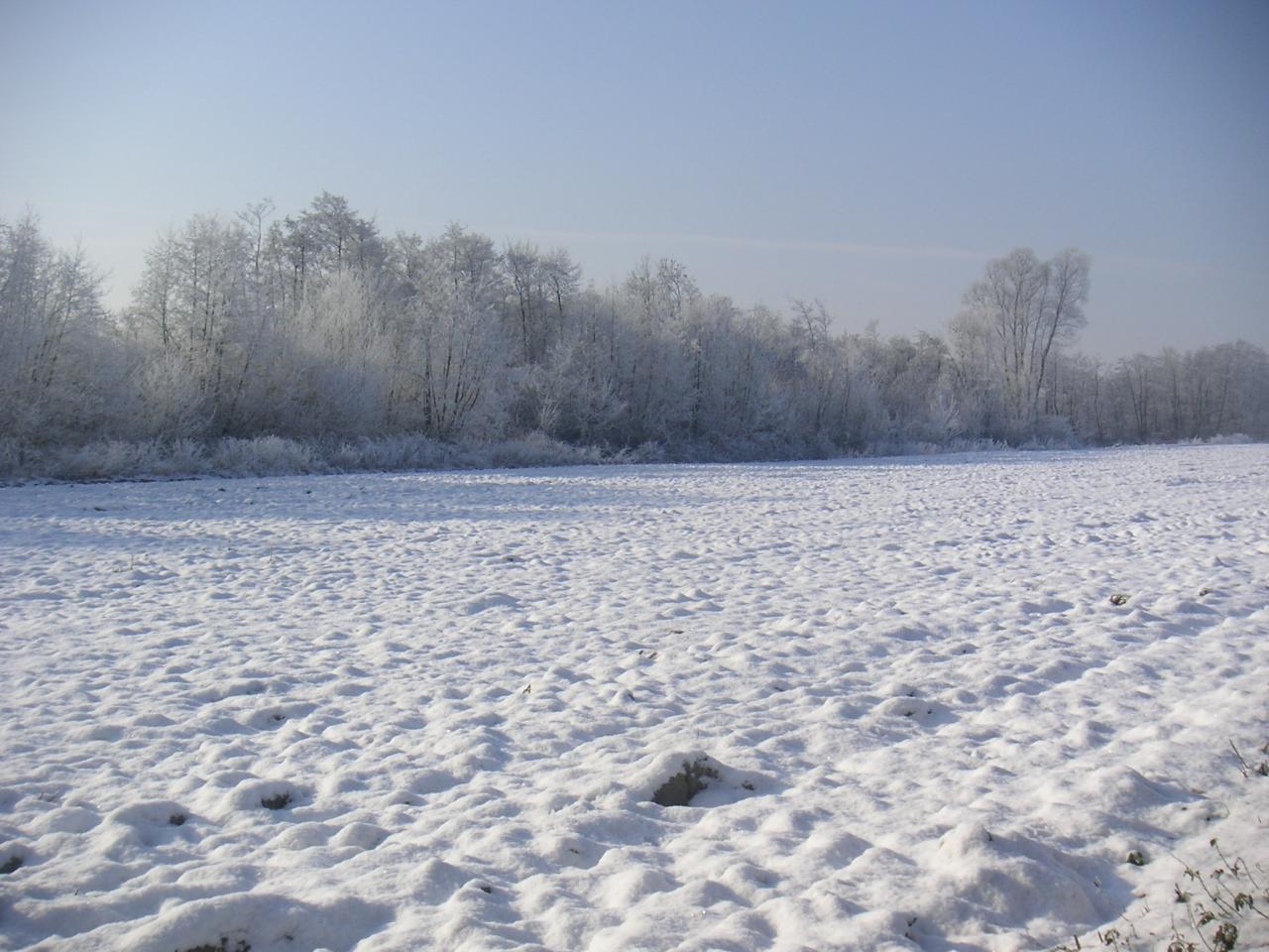 Vue Marais des Paillons