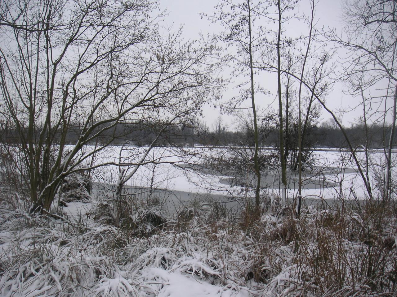 Marais des Paillons