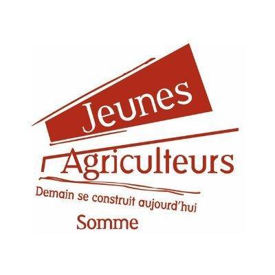 Logo ja 80